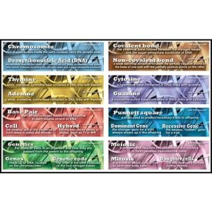 Mini mural vocabulario DNA (ING) (CD410059)