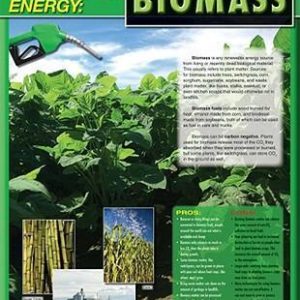 Afiche Energía Biomasa (43x56cm)(ING) (CD414077)
