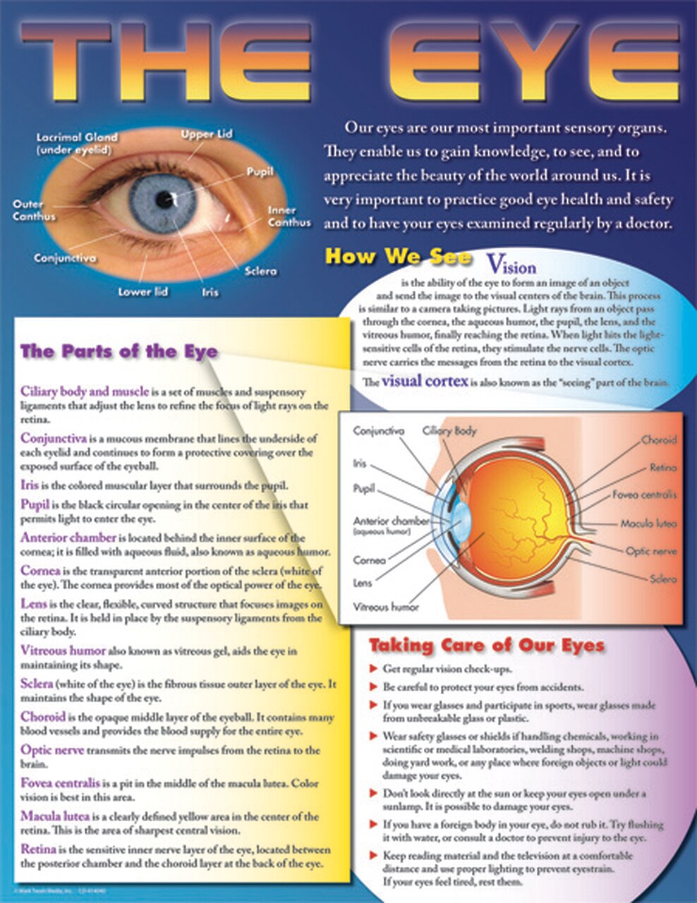 Afiche ojo humano (43x56cm)(ING) (CD414040)