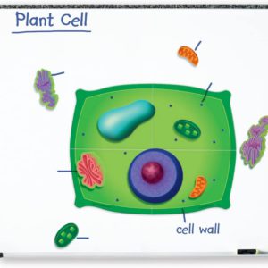 Célula vegetal magnética (LER6038)