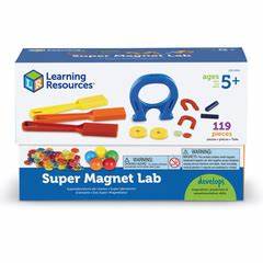 Juego de magnetismo (LER2064)