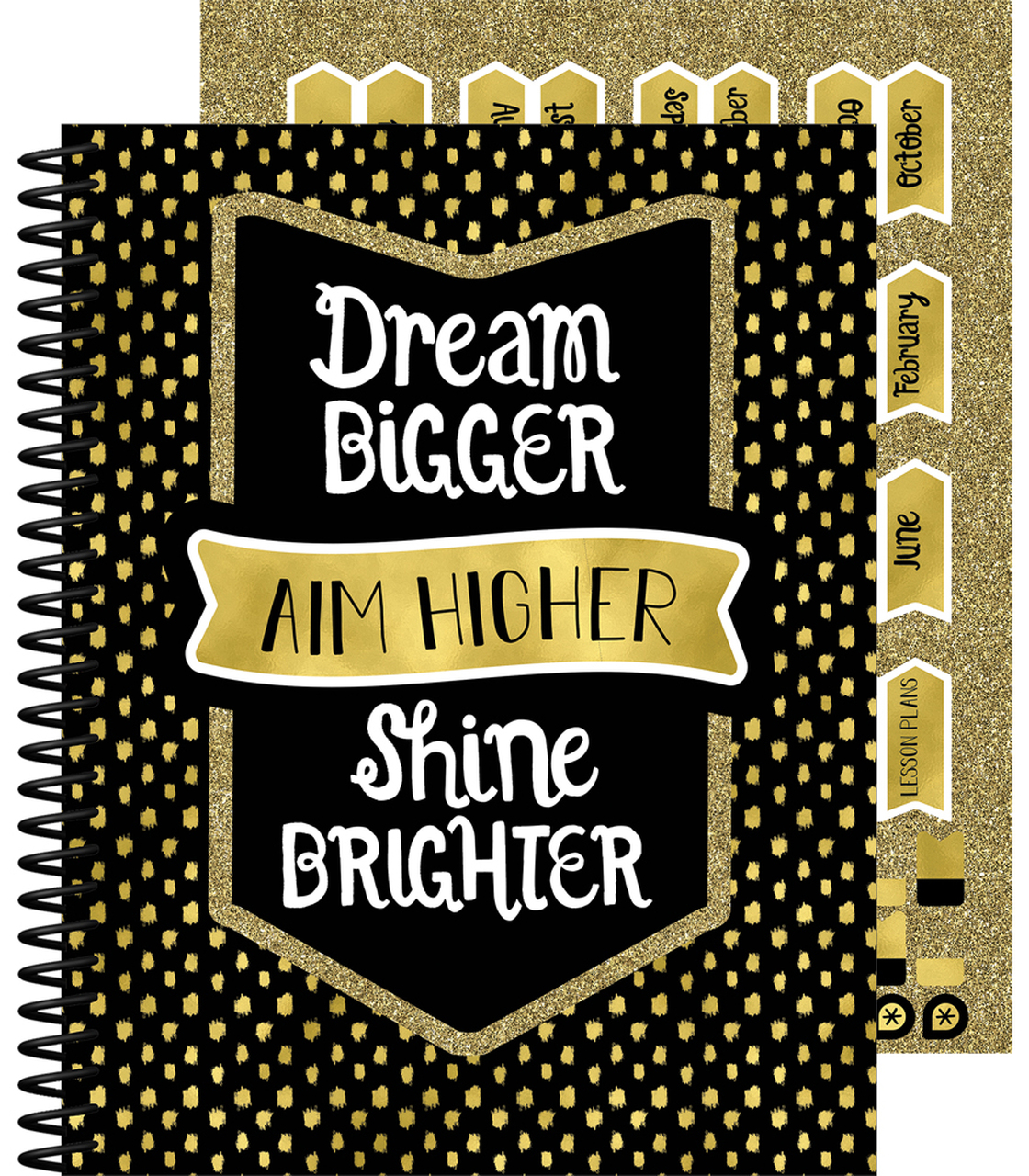 Sparkle + Shine Teacher Planner Paperback (CD105020)