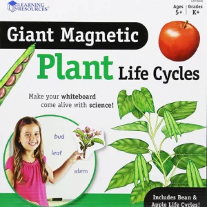 Ciclo de vida de la planta magnética gigante (LER6045)