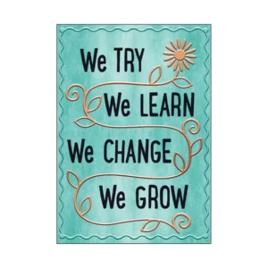 Afiche We Try We Learn We Change…(TA67096)