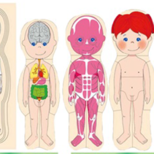 Rompecabezas con capa de Madera de Niña (DD1467)