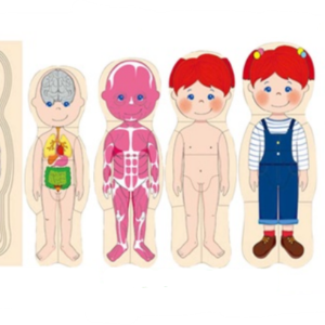 Rompecabezas con capa de Madera de Niño (DD1468)