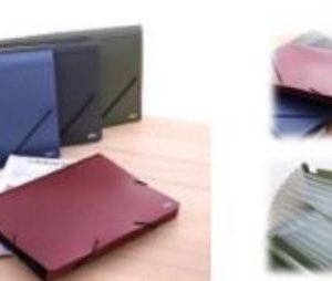 Carpeta expansible 12 divisiones  plástica con liga (GS-05551)