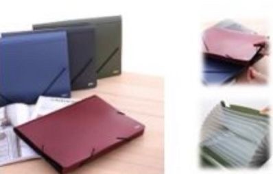 Carpeta expansible 12 divisiones plástica con liga (GS-05551)