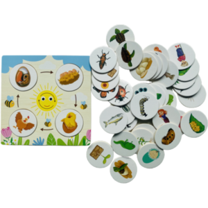 JUEGO DE LA EVOLUCIÓN EN CAJA. 17X16CM  (DD1531)