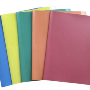 FOLDER COL 2081 FLASHFILE TRADICIONAL MIXTO ARCO I C/100u