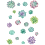 Distintivo tamaños variados Rustic Bloom Succulent (TCR8590)