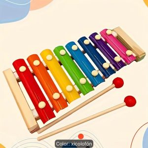 Acordeon colorido